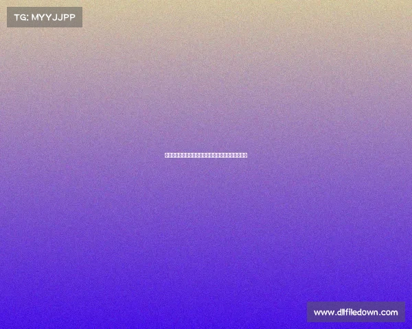 高效整理装备的技巧与方法，提升你的生活与工作效率