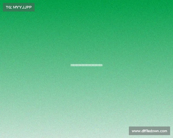 德甲最新伤病报告：球员健康状况更新及影响分析